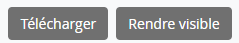Download and Make visible. Two buttons: 'Download' and 'Make visible'